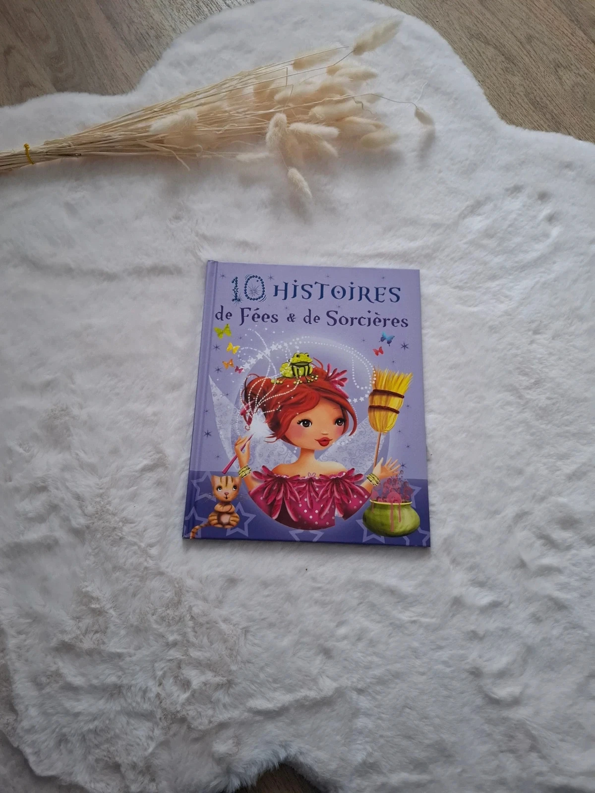 📚 livre 10 histoires de fées et de sorcières